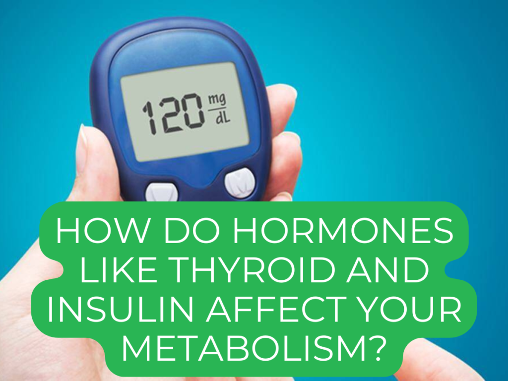 How Do Hormones Like Thyroid and Insulin Affect Your Metabolism?